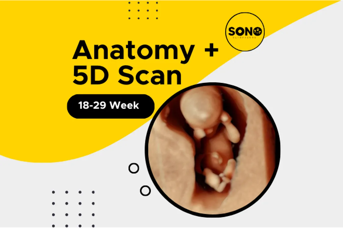 Anatomy 5D Scan in Pregnancy