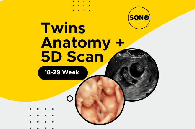 Twins Anatomy 5D Scan Malaysia