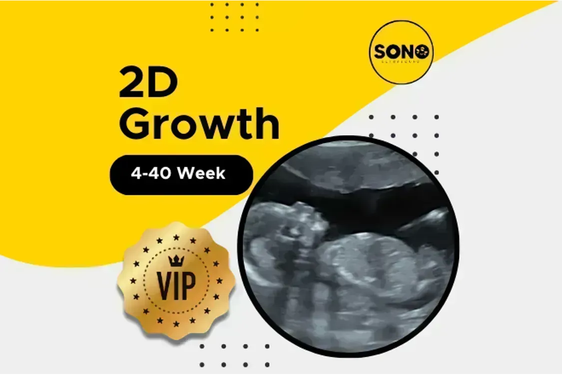 VIP 2D Growth Scan