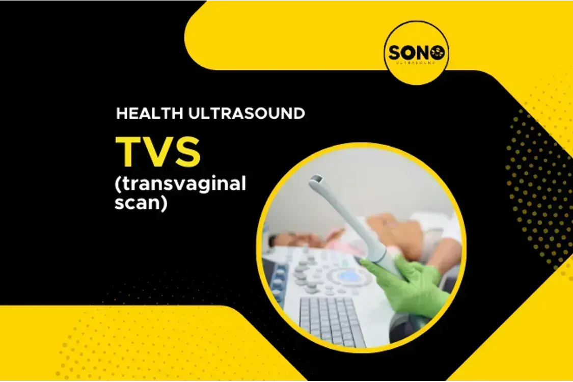 Transvaginal Scan