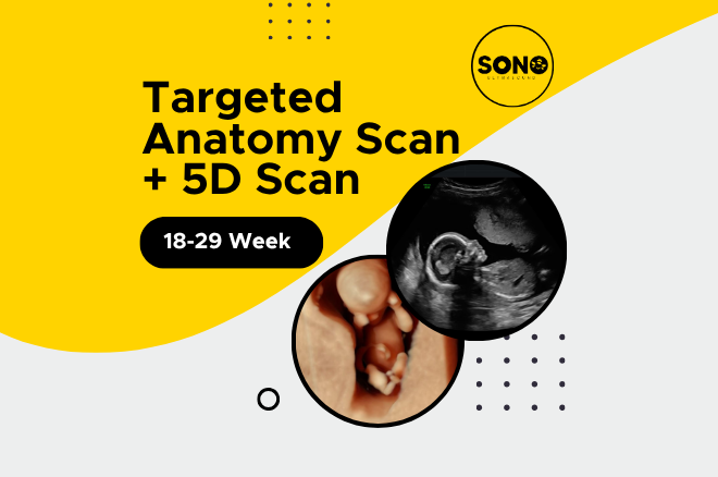 Targeted 5D Anatomy Scan