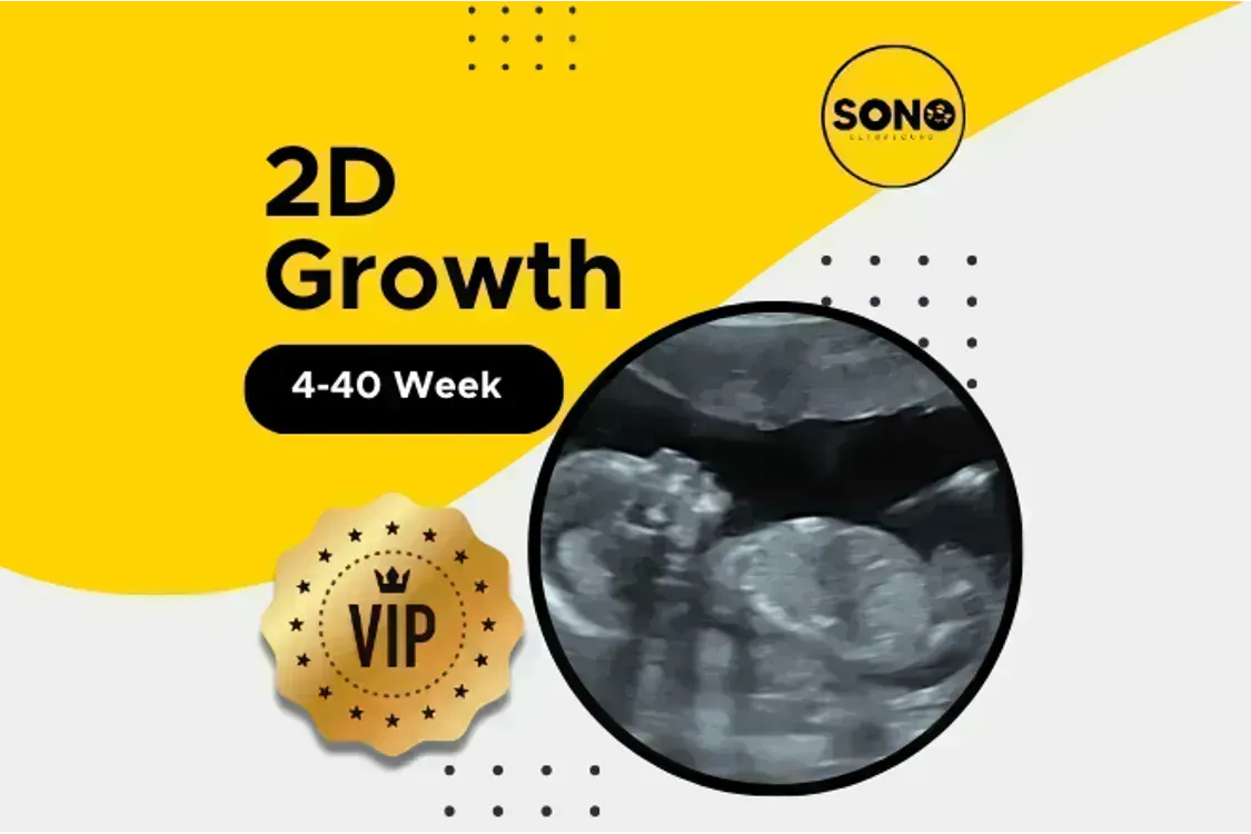 VIP 2D Growth Scan