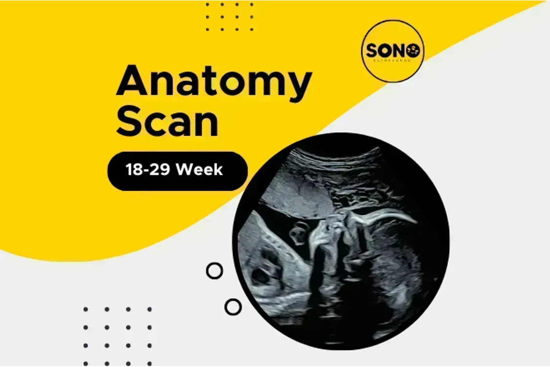 20-Week Anatomy Scan