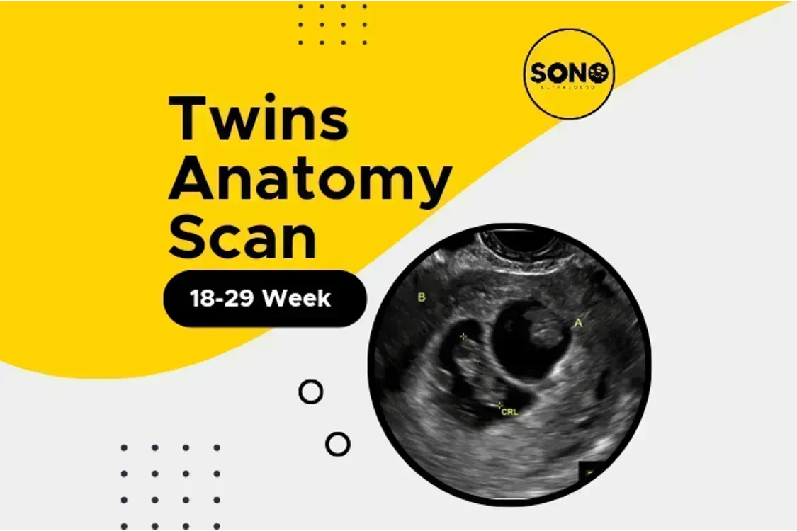 Twins Anatomy Scan in Malaysia