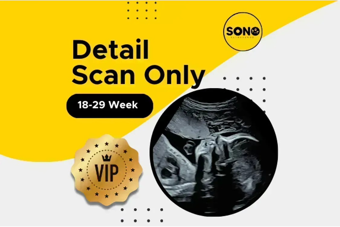 VIP Anatomy Scan