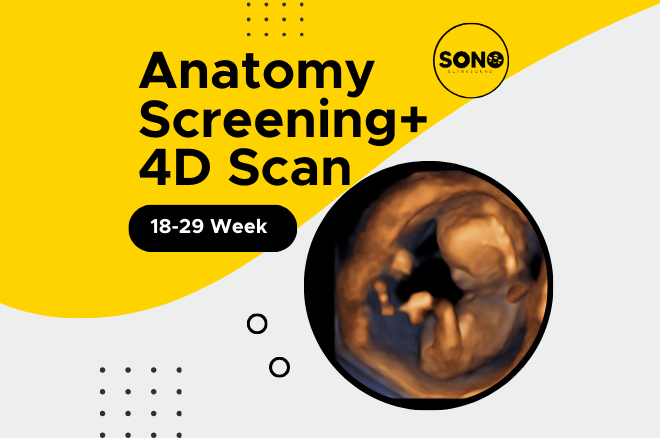 Anatomy 4D Scan in Pregnancy