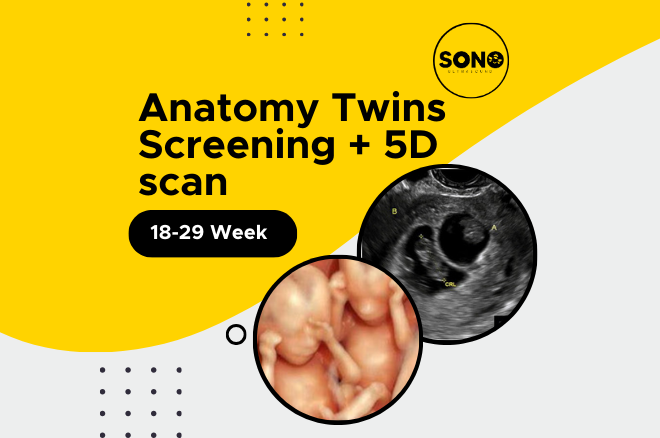 Twins Anatomy 5D Scan Malaysia