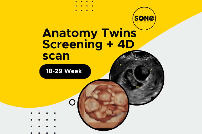 Twins Anatomy 4D Scan Malaysia