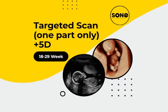 Targeted 5D Scan